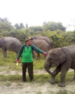 Taman Nasional Tertua di Indonesia Way Kambas, Ternyata Didirikan oleh Pemerintah Belanda