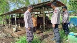 Antisipasi Penyakit Mulut dan Kuku, Polres Bontang Pantau Pedagang Hewan Kurban