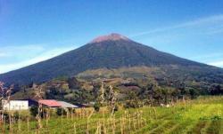 Kabar Baik,Terkirim Sinyal SOS dari Pelari yang Hilang di Gunung Arjuno, Petugas Lakukan Penyisiran