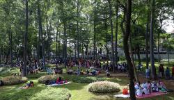 Pengunjung Yang Rusak Fasilitas Tebet Eco Park Bakal Diberi Kartu Merah