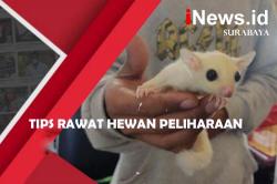 Tips Rawat Hewan Peliharaan