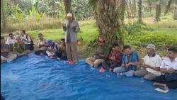 3 Musim Gagal Panen, Petani di Batu Bara Gelar Tradisi Kenduri Ladang