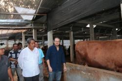 Jelang Kurban Idul Adha di Pemalang, 500 Ekor Hewan Telah di Vaksin oleh Dinas Pertanian