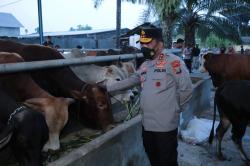 Jelang Idul Adha, Kapolda Sumut Datangi Rumah Ternak Hewan Qurban