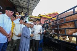 Golkar Sumut Serahkan Satu Ekor Sapi Kurban ke Warga Besilam