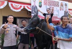 Tunggangi Sapi Hitam Seberat 1.1 Ton, Dewi Perssik Serahkan Hewan Kurban ke Polsek Cilandak