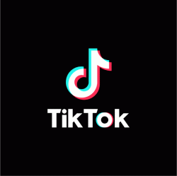 Ingin Cari Penghasilan Tambahan Uang dari TikTok, Coba Cara Ini