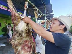 Bagian Ini Sering Jadi Rebutan Saat Kurban, Benarkah Torpedo Kambing Bisa Tingkatkan Gairah Seks?