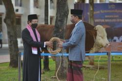 Sapi Dengan Bobot Fantastis Jadi Hewan Kurban Presiden di Masjid Istiqlal