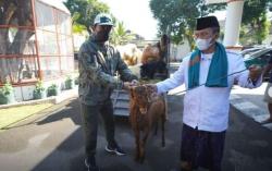 Wali Kota Madiun Bagikan Hewan kurban ke 10 Ponpes