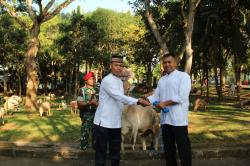 Grup 1 Kopassus Melaksanakan Penyembelihan 76 Hewan Qurban Pada Idul Adha 1443 H