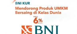 Asyiik! UMKM di Pemalang bisa Ajukan Pinjaman KUR BNI Mikro 2022 secara Online, Berikut Ini Caranya