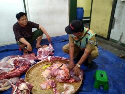 DKPP Kota Bandung Musnahkan Lebih dari 369 Kg Jeroan Sapi dan Domba Kurban