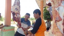 Perayaan Idul Adha 1443H, SLB N Manggar Potong 2 Sapi dan 1 Kambing