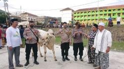 Peduli Santri, Kapolres Brebes Serahkan 4 Sapi Kurban ke Pondok Pesantren