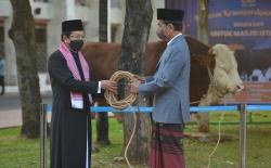 Sapi Kurban Jokowi di Masjid Istiqlal Disembelih Hari Ini