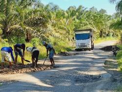 Warga Bengkulu Utara Tambal Jalan Provinsi  Secara Swadaya