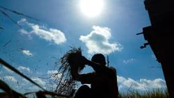 Tulungagung Rawan Pangan, Ini 10 Daerah yang Kekurangan Pasokan Bahan Makanan