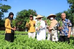 Jaga Ketahanan Pangan, Pemkot Cirebon Bangun 13 Titik Kampung Lestari dan Hijau