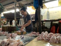 Usai Idul Adha, Harga Daging Ayam di Medan Merosot