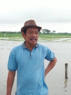 Puluhan HA Tanaman Bawang Merah Siap Panen di Brebes Terendam