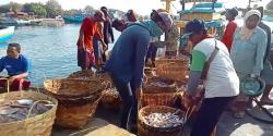 Cuaca Ekstrim di Laut Utara Probolinggo, Harga Ikan Melambung Tinggi