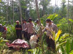 Pencurian Hewan Ternak Kembali Terjadi di Singajaya Garut