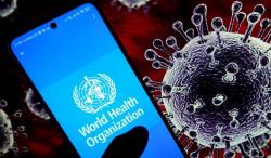 Hantavirus Merebak di Dunia, Calon Pandemi Baru setelah Covid-19?