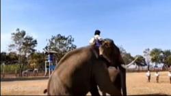 Unik! Berangkat Sekolah Bocah Kelas 5 Tunggangi Gajah Setiap Harinya, Ini Alasannya