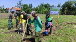 Dorong Ketahanan Pangan, Dandim Pemalang Pimpin Tanam Jagung di Lahan Demplot 2,9 Ha