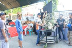 Tentukan yang Terbaik, Tim Juri Festival Bonsai Indramayu Lakukan Penilaian