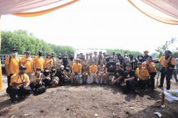 UGM Tanam 8.000 Mangrove di Pesisir Lontar