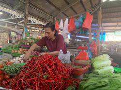 Sepekan Terakhir, Harga Cabai Rawit dan Bawang Merah Anjlok 