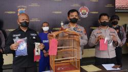 Nekat Curi Burung di Purbalingga, Seorang Pria Diamankan Polsek Padamara