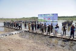 Hari Mangrove Sedunia Pelindo Tanam 85 Ribu Bibit Mangrove