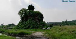 Merinding, Ditemukan Makam Keramat Ular Raksasa Tersembunyi di Atas Bangunan Candi