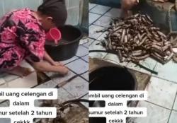 Viral Pertama di Dunia: Emak-Emak Menabung di Sumur Bertahun-tahun, Hasilnya Menakjubkan