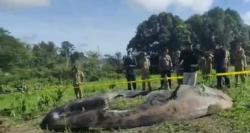 Waow ! Serpihan Roket Jatuh di Ladang Gegerkan Warga Sanggau Kalbar