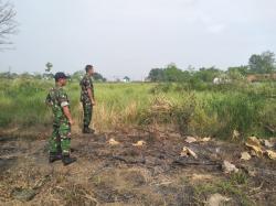 Kodim Pemalang Cek Lokasi Lahan 1,2 Ha untuk Penanaman Jagung, Wujudkan Program Ketahanan Pangan