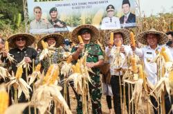 Dukung Pemerintah Ketahanan Pangan, Pemprov Banten Tanam Jagung