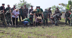 Dukung Ketahanan Pangan Kodim Sragen Tanam Jagung