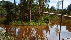 Viral di Media Sosial, Fenomena Langka Pulau Bergerak di Kalimantan Barat