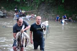 Ikut Lubuk Larangan, Sukhairi: Sungai Tercrmar, Ikan Ikut Tercemar