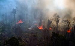 Waduh! Disuruh Guru Bakar Sampah, Siswa SMP di Samosir Malah Bakar Hutan