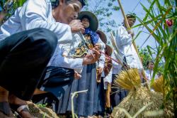 Kemendikbudristek Dorong Pelestarian Budaya di Daerah