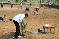 Jokowi Bagikan 1 Juta Kelapa Genjah Antisipasi Krisis Pangan