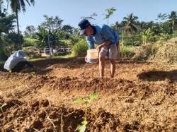 Tim KKN UIN Walisongo Manfaatkan Tanah Terbengkalai Jadi Lahan Produktif