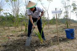 Bukan Hanya Jago Perang, Marinir Juga Kuasai Pertanian