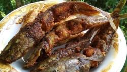 Tinggi Kolestrol, Batasi Konsumsi Ikan Tawar Ini Segera!