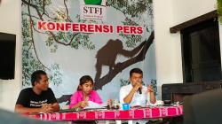 Peringati Hari Orangutan Internasional, Status Kritis Hutan Penyebab Utama Punahnya Orangutan 